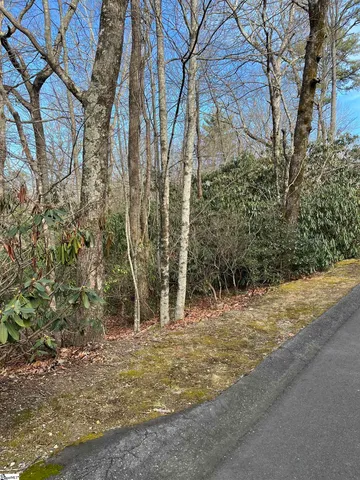 $19,500 | Tbd Cliff Ridge Drive, Cleveland, SC 29635