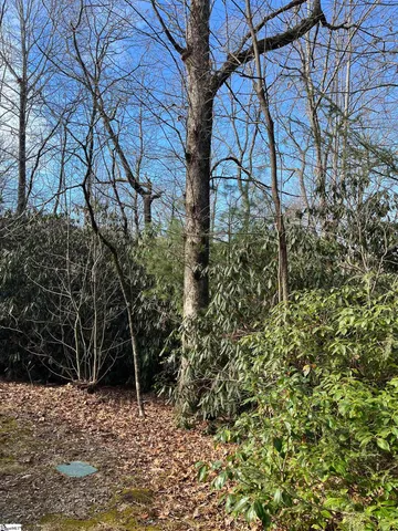 $19,500 | Tbd Cliff Ridge Drive, Cleveland, SC 29635