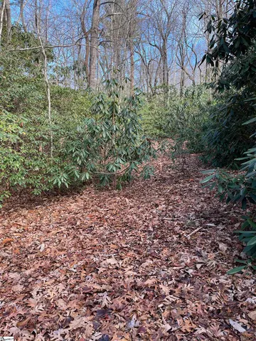 $19,500 | Tbd Cliff Ridge Drive, Cleveland, SC 29635