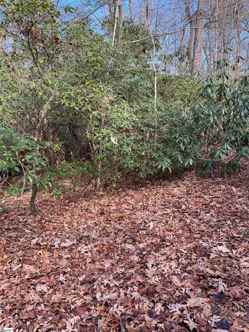 $19,500 | Tbd Cliff Ridge Drive, Cleveland, SC 29635