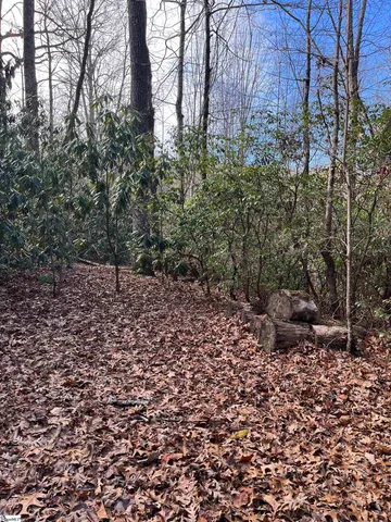 $19,500 | Tbd Cliff Ridge Drive, Cleveland, SC 29635
