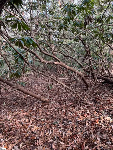 $19,500 | Tbd Cliff Ridge Drive, Cleveland, SC 29635