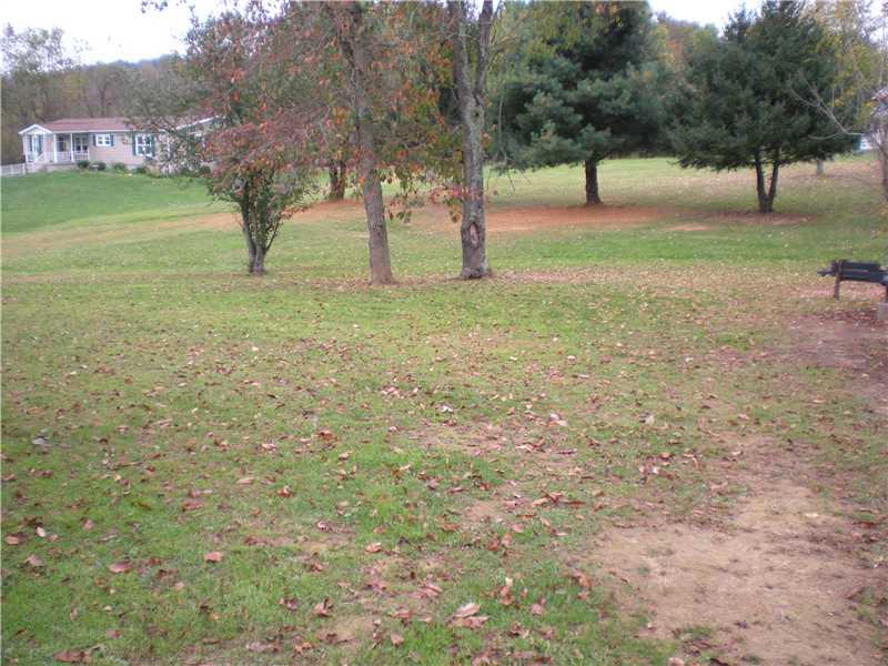 151 Center Avenue Rices Landing, PA 15357 - Photo 9 of 11 Yard/Garden.