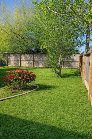 a view of a backyard with flowers and trees