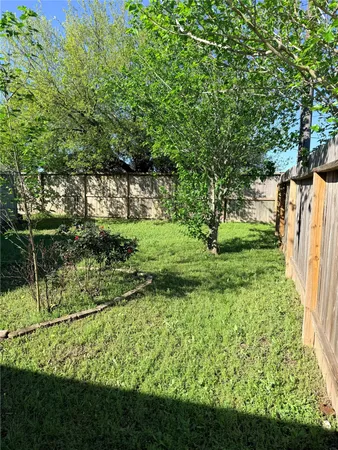 a view of a garden with a tree
