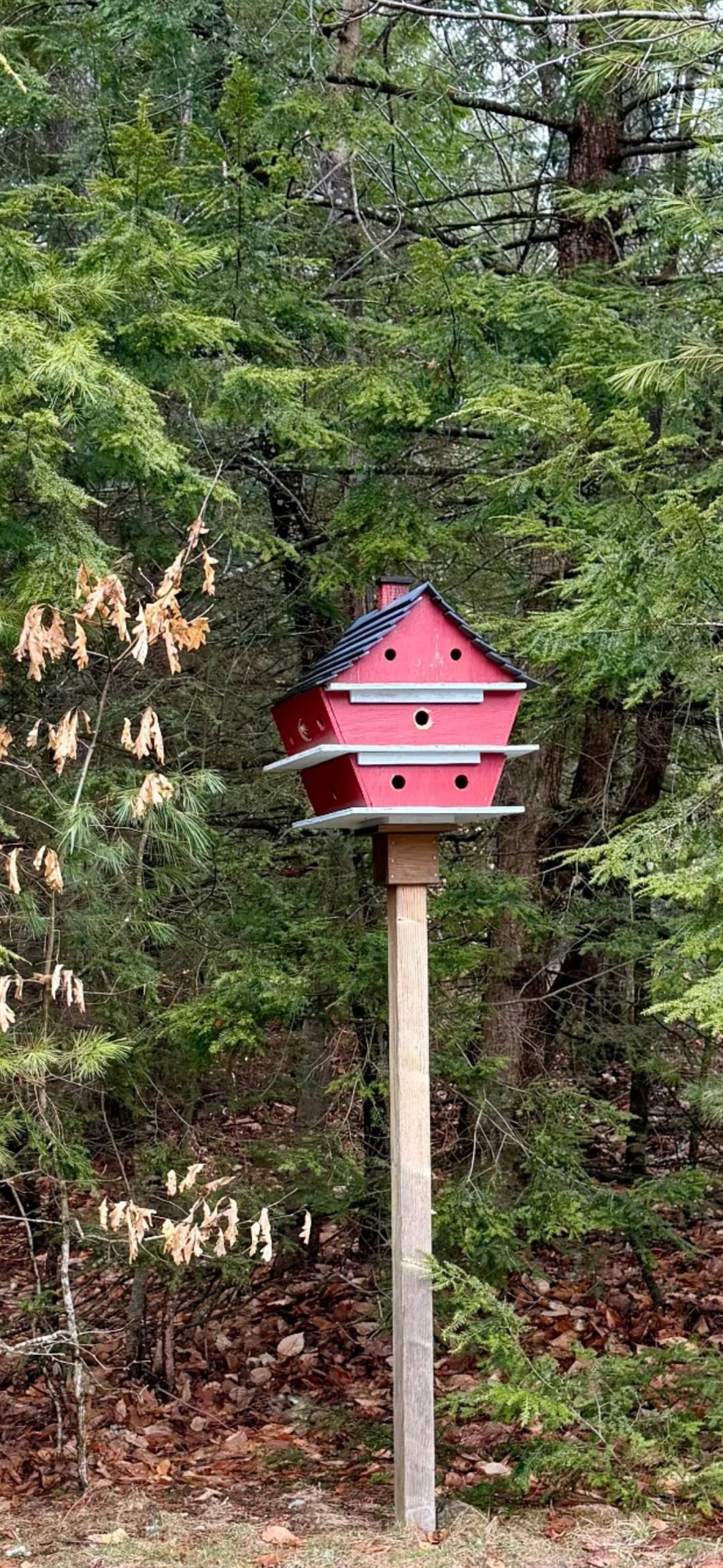 138 Spaulding Road, Unit 5613 Fremont, NH 03044 - Photo 44 of 52