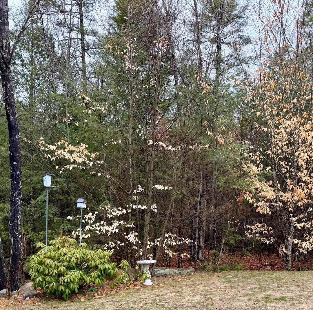 138 Spaulding Road, Unit 5613 Fremont, NH 03044 - Photo 45 of 52