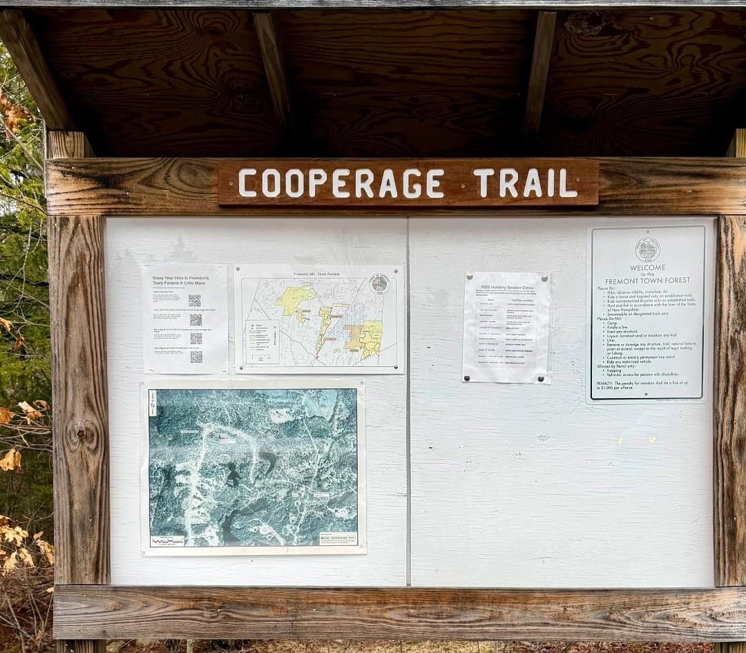 138 Spaulding Road, Unit 5613 Fremont, NH 03044 - Photo 47 of 52