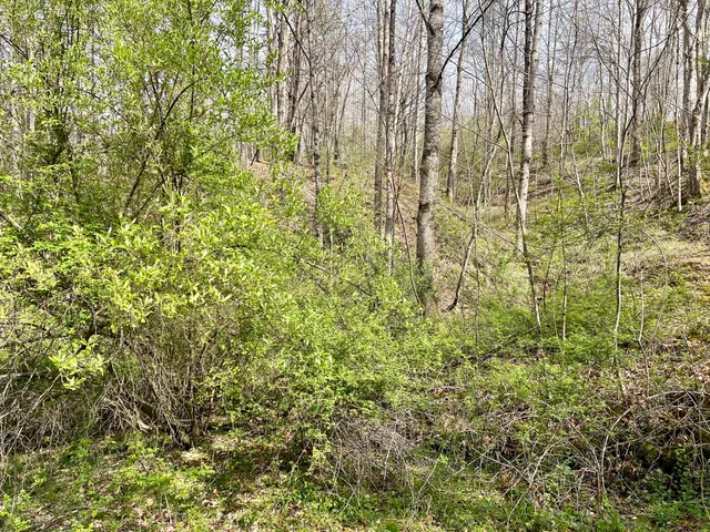 $18,933 | Tbd Orby Cantrell Highway, Wise, VA 24293