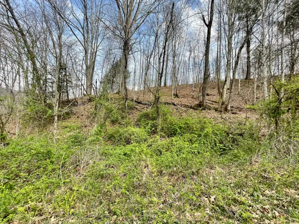 $18,933 | Tbd Orby Cantrell Highway, Wise, VA 24293