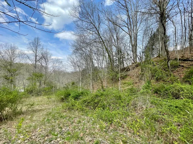 $18,933 | Tbd Orby Cantrell Highway, Wise, VA 24293