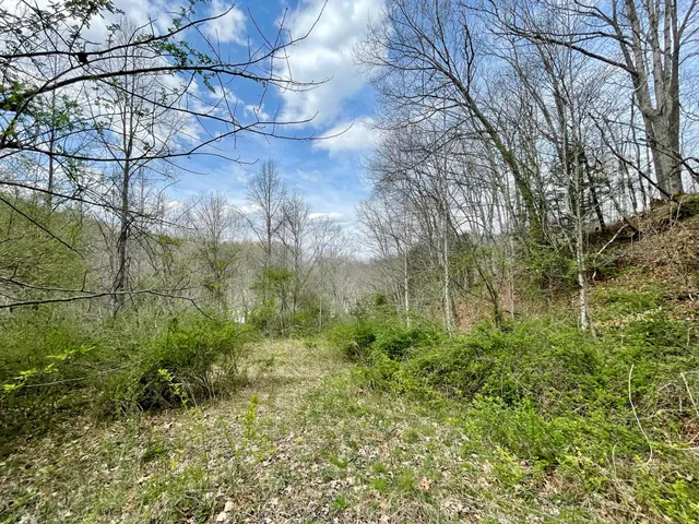 $18,933 | Tbd Orby Cantrell Highway, Wise, VA 24293