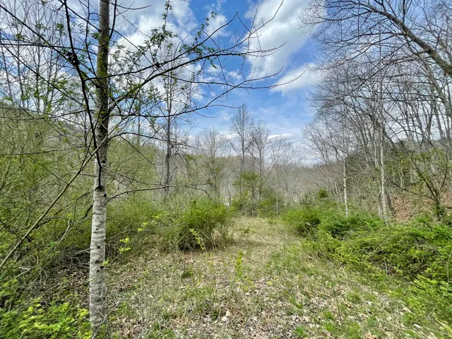 $18,933 | Tbd Orby Cantrell Highway, Wise, VA 24293