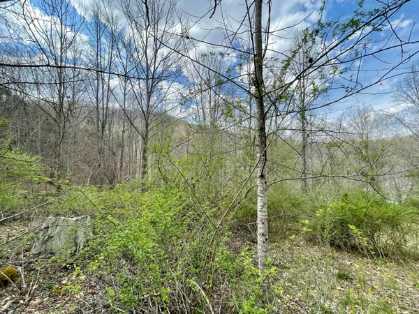 $18,933 | Tbd Orby Cantrell Highway, Wise, VA 24293