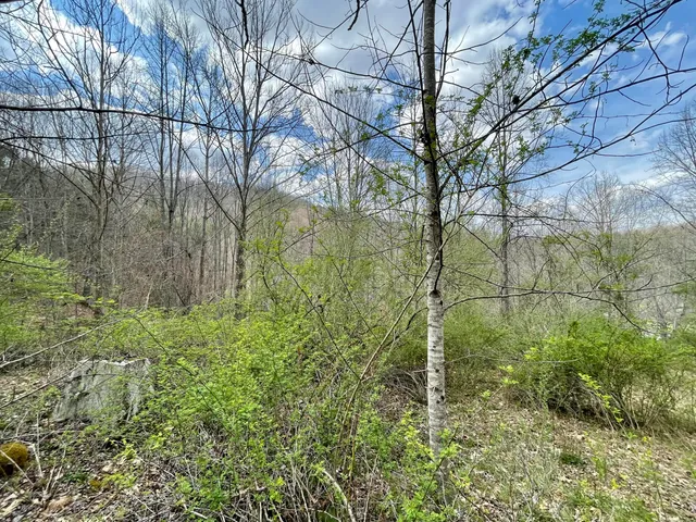 $18,933 | Tbd Orby Cantrell Highway, Wise, VA 24293