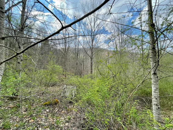 $18,933 | Tbd Orby Cantrell Highway, Wise, VA 24293