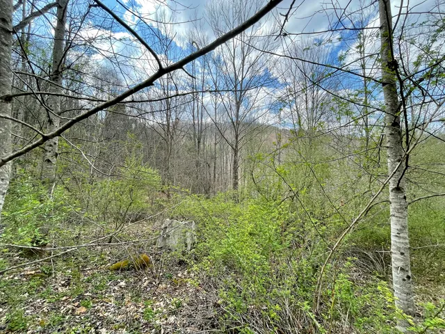 $18,933 | Tbd Orby Cantrell Highway, Wise, VA 24293