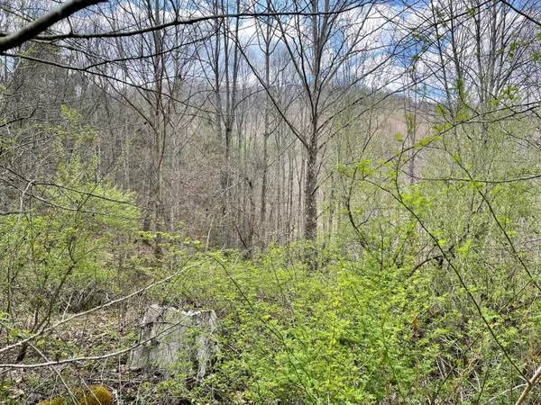$18,933 | Tbd Orby Cantrell Highway, Wise, VA 24293