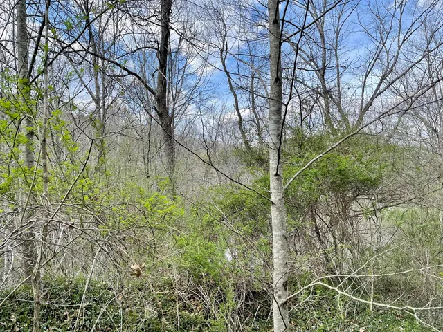 $18,933 | Tbd Orby Cantrell Highway, Wise, VA 24293