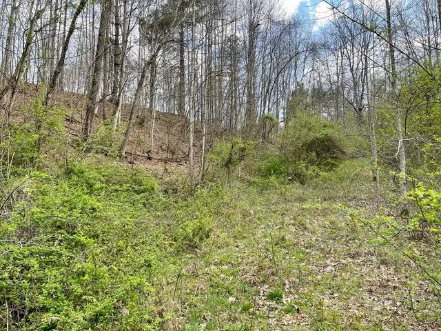 $18,933 | Tbd Orby Cantrell Highway, Wise, VA 24293