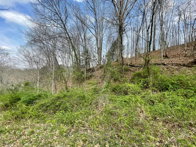 $18,933 | Tbd Orby Cantrell Highway, Wise, VA 24293