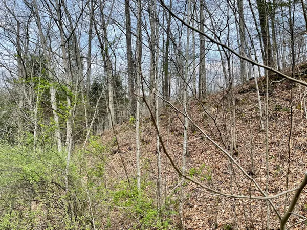 $18,933 | Tbd Orby Cantrell Highway, Wise, VA 24293