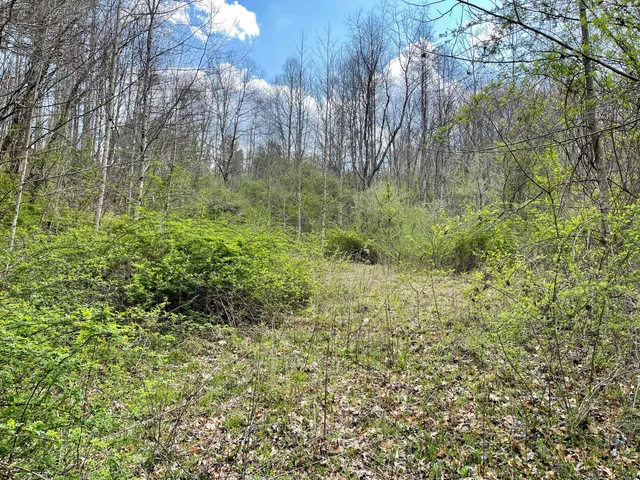 $18,933 | Tbd Orby Cantrell Highway, Wise, VA 24293