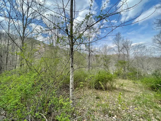 $18,933 | Tbd Orby Cantrell Highway, Wise, VA 24293