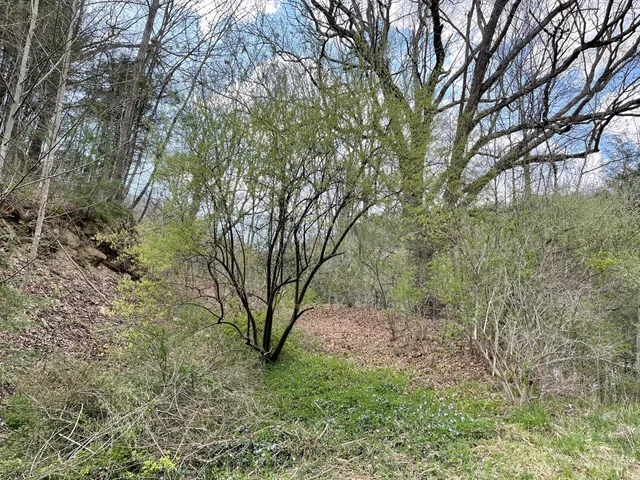 $18,933 | Tbd Orby Cantrell Highway, Wise, VA 24293