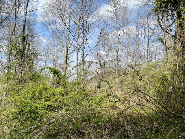 $18,933 | Tbd Orby Cantrell Highway, Wise, VA 24293