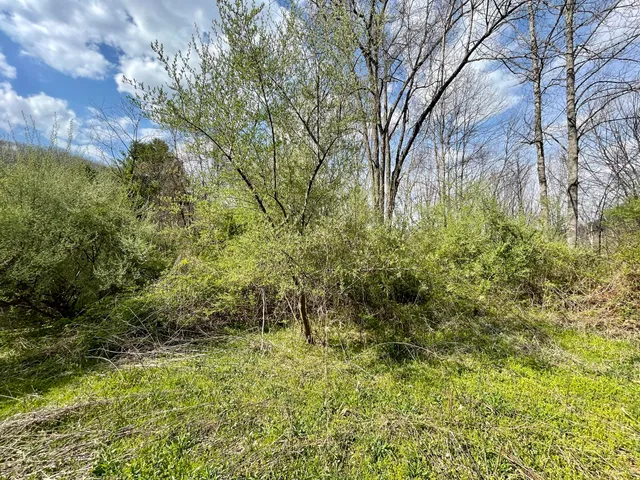 $18,933 | Tbd Orby Cantrell Highway, Wise, VA 24293