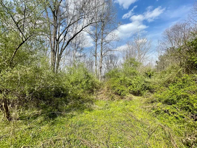 $18,933 | Tbd Orby Cantrell Highway, Wise, VA 24293