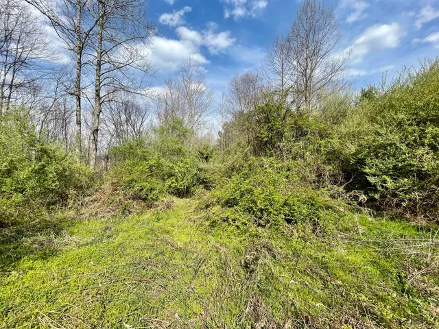 $18,933 | Tbd Orby Cantrell Highway, Wise, VA 24293