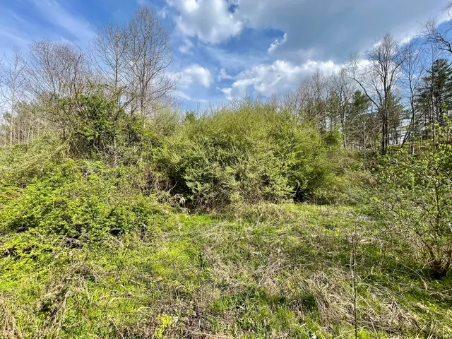 $18,933 | Tbd Orby Cantrell Highway, Wise, VA 24293