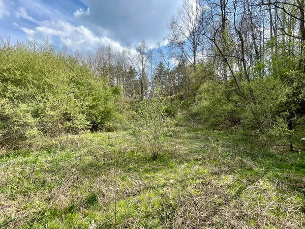 $18,933 | Tbd Orby Cantrell Highway, Wise, VA 24293