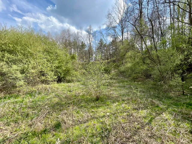 $18,933 | Tbd Orby Cantrell Highway, Wise, VA 24293