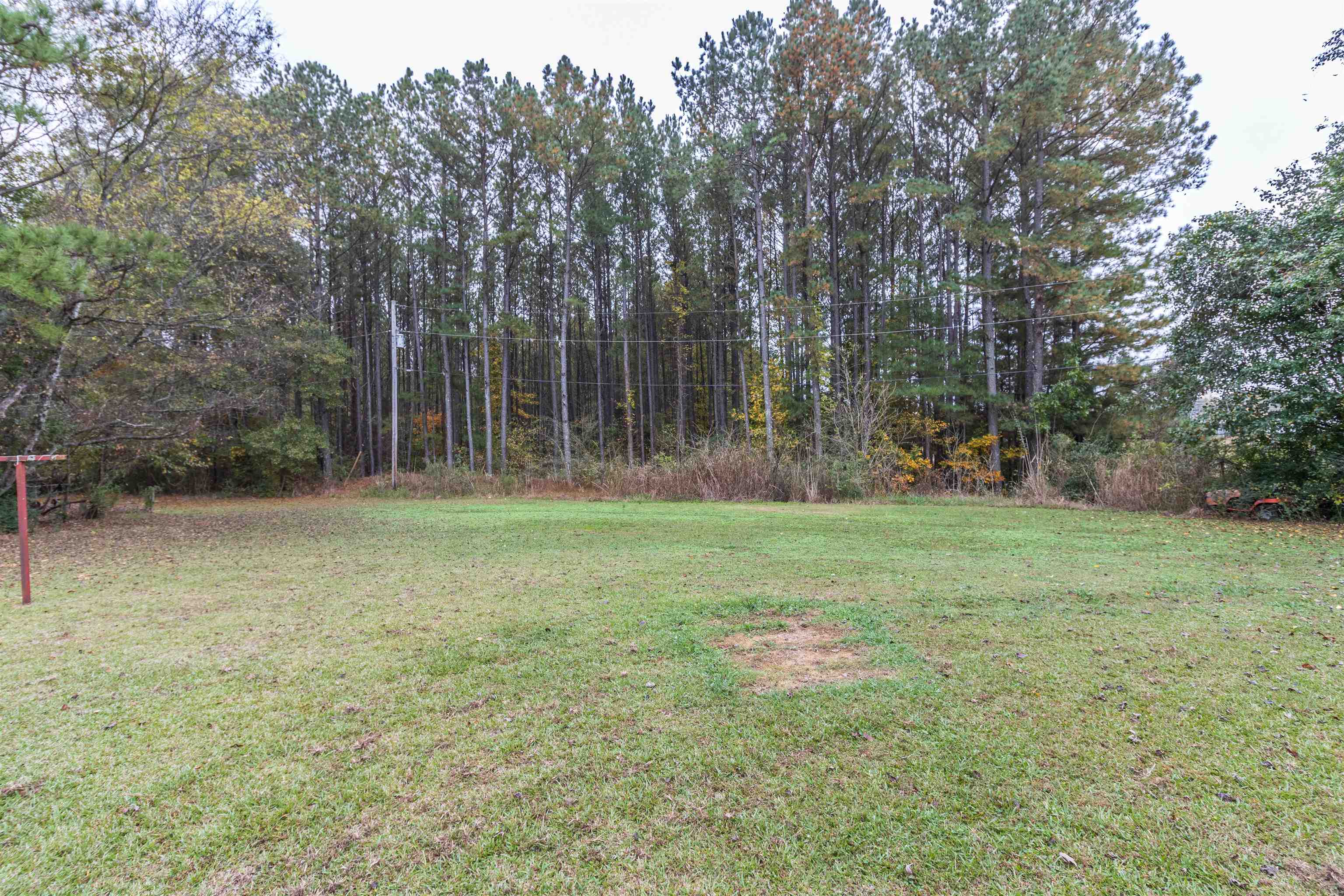 33 Skyline Road Selmer, TN 38375 - Photo 19 of 19 View of yard