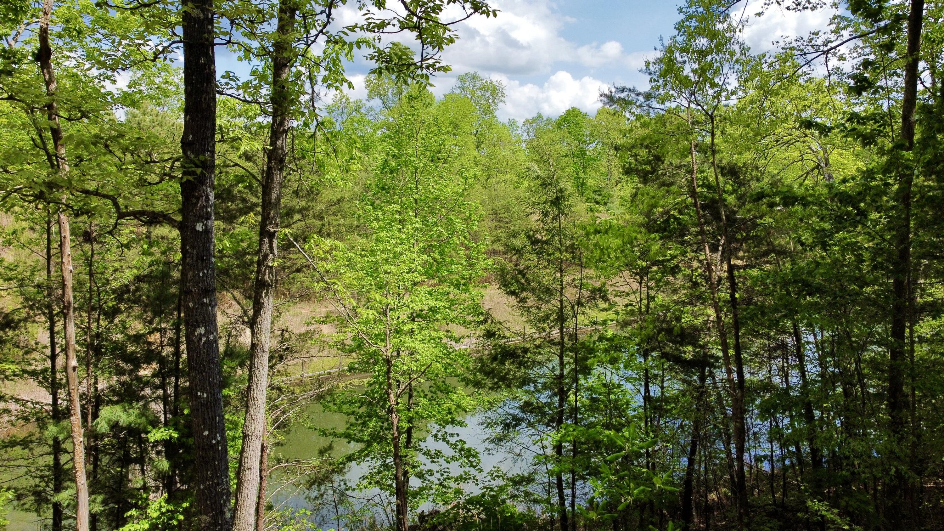1417 Cliffview Road Zoe, KY 41397 - Photo 14 of 17 dji_fly_20250502_142220_769_174621030398