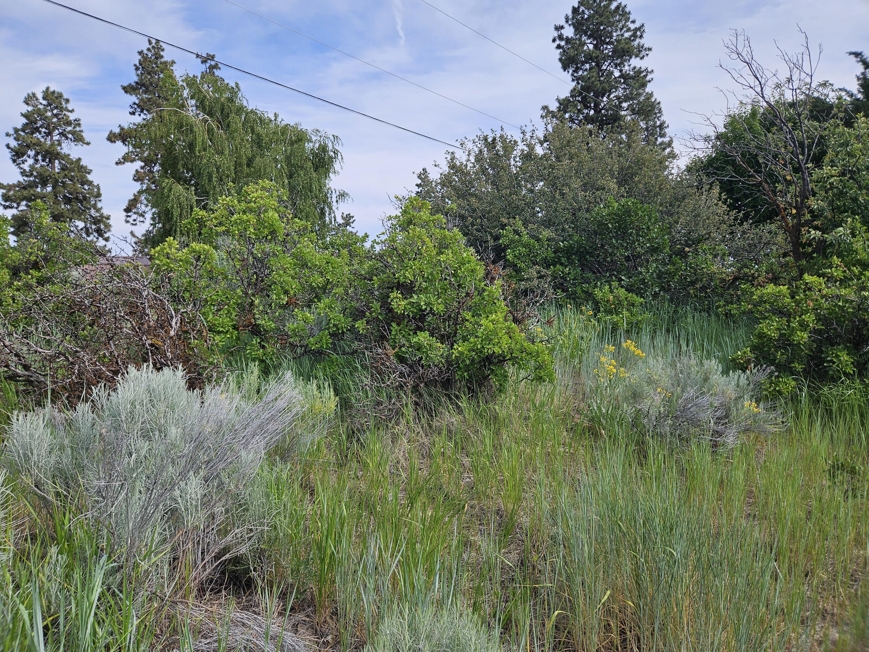 0 Pleasant View Road, Unit LOT 37 Chiloquin, OR 97624 - Photo 9 of 15