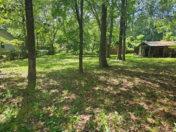 a view of a yard with a tree