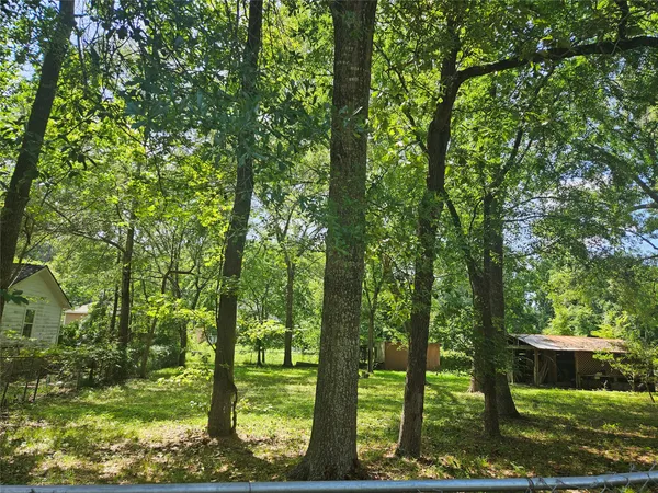 a view of outdoor space with trees all around