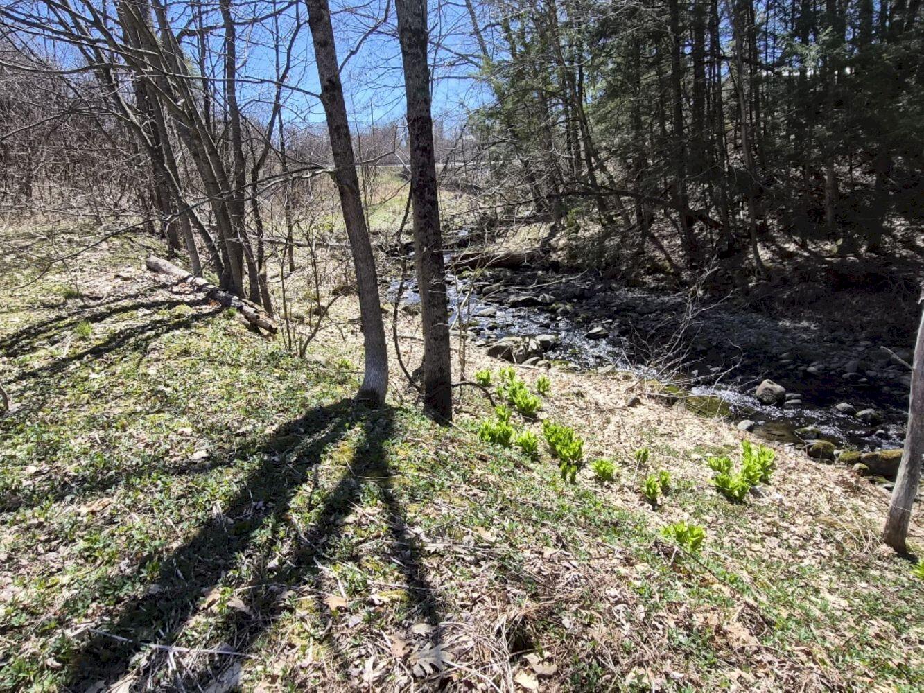 55 Cape Cod Hill Road New Sharon, ME 04955 - Photo 70 of 78
