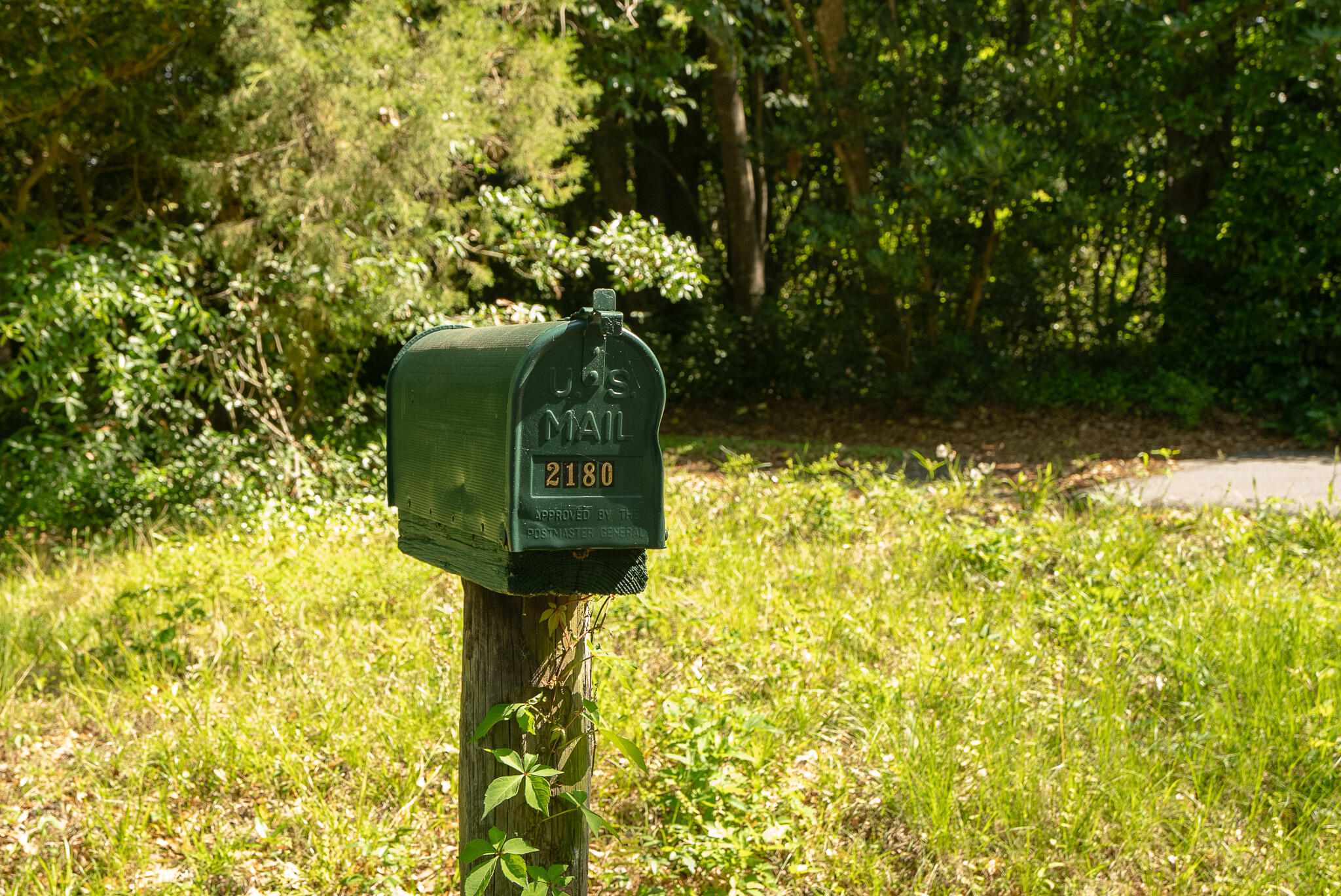 2180 Wappoo Hall Road Charleston, SC 29412 - Photo 2 of 46 Toolbox_Wappoo Lot_15