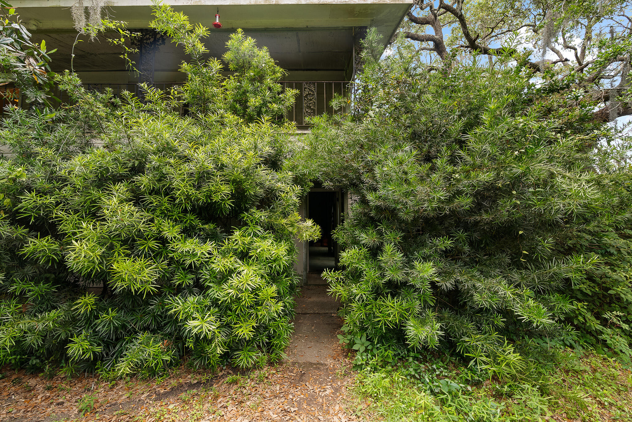 2180 Wappoo Hall Road Charleston, SC 29412 - Photo 4 of 46 Toolbox_WappooHouse_23