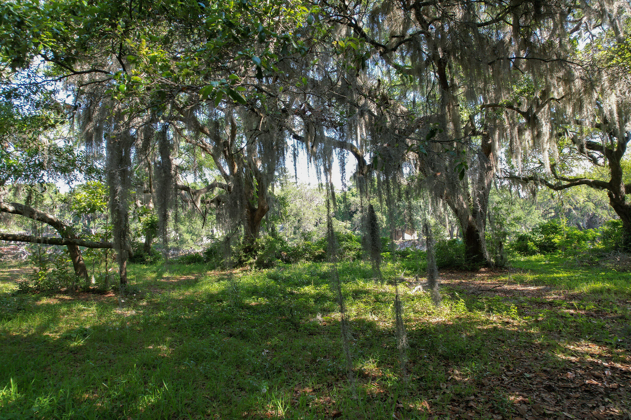 2180 Wappoo Hall Road Charleston, SC 29412 - Photo 6 of 46 Toolbox_Wappoo Lot_13