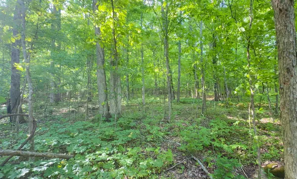 $198,500 | 140 Ben Johnson Road, Pulaski, TN 38478