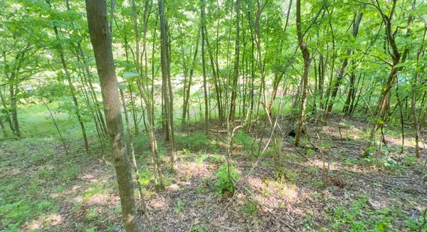 $198,500 | 140 Ben Johnson Road, Pulaski, TN 38478