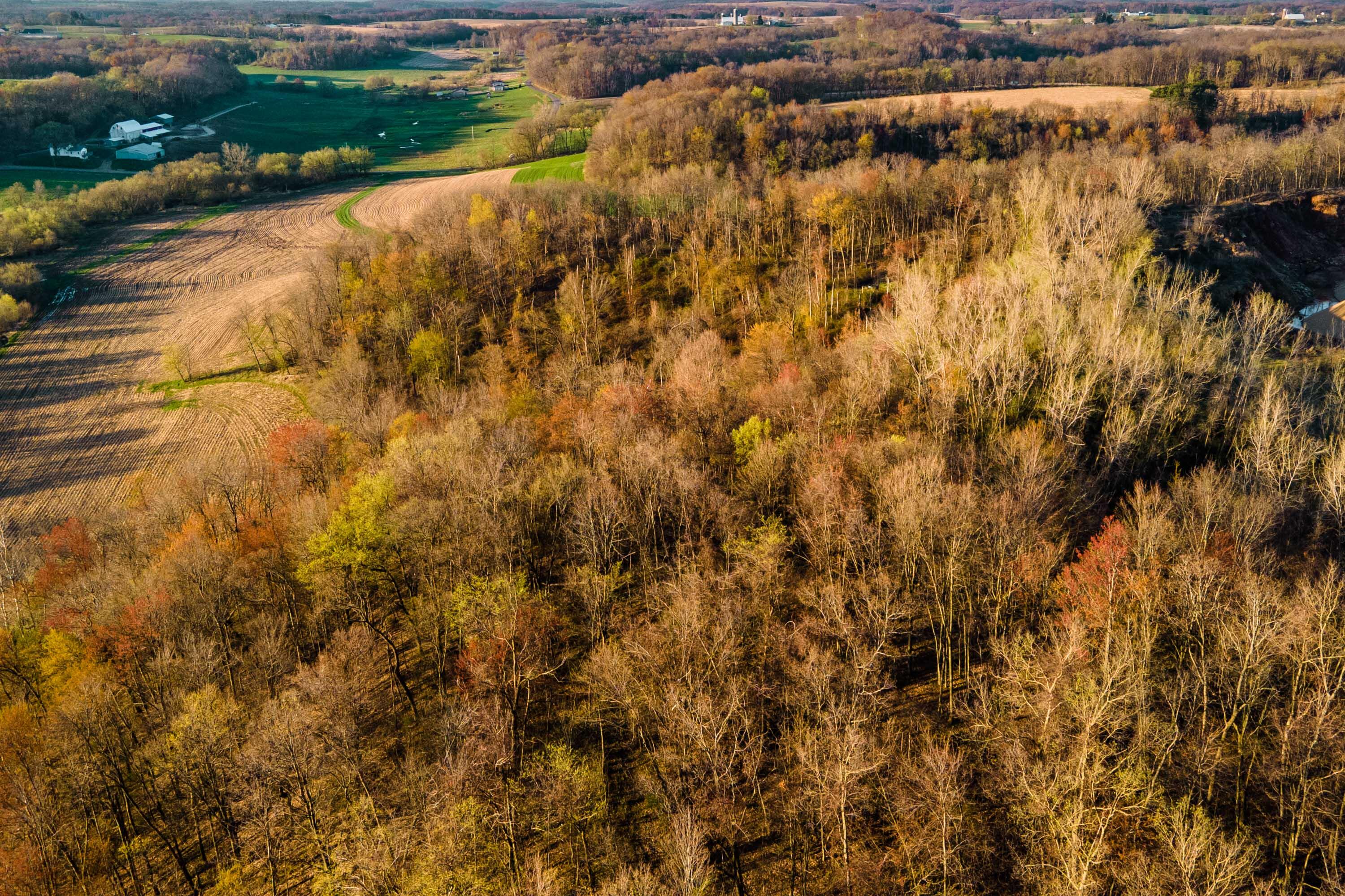 Lt2 Eli Valley Road Hillpoint, WI 53937 - Photo 20 of 47 Sauk-County-WI-53-Acres-Land-For-Sale-20