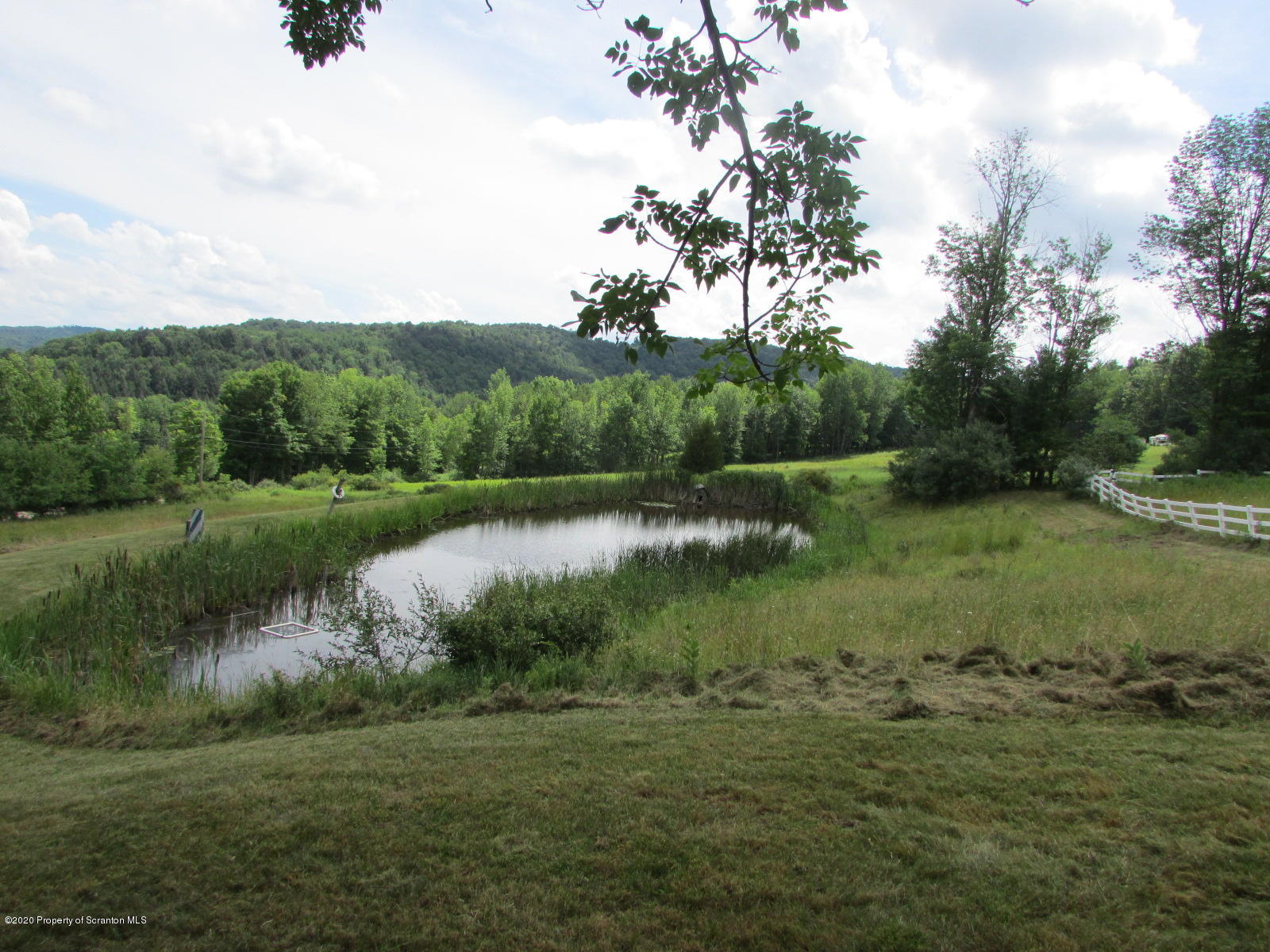 1859 Hunsinger Road Hallstead, PA 18822 - Photo 3 of 19 a view of a lake in middle of forest