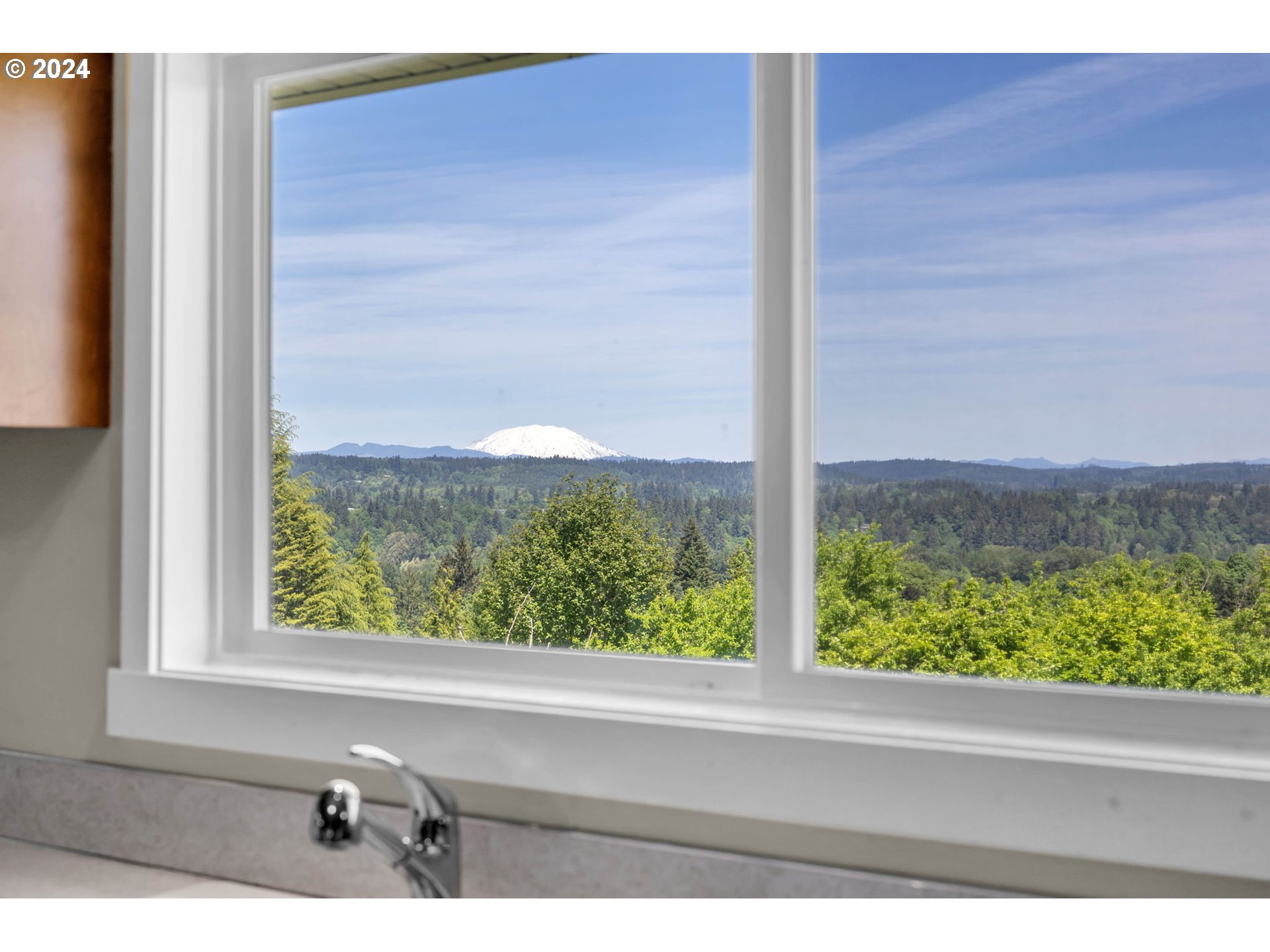 27309 Northeast 29th Avenue Ridgefield, WA 98642 - Photo 13 of 39 a view of a window in a room